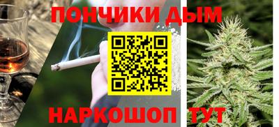 дурь Сланцы